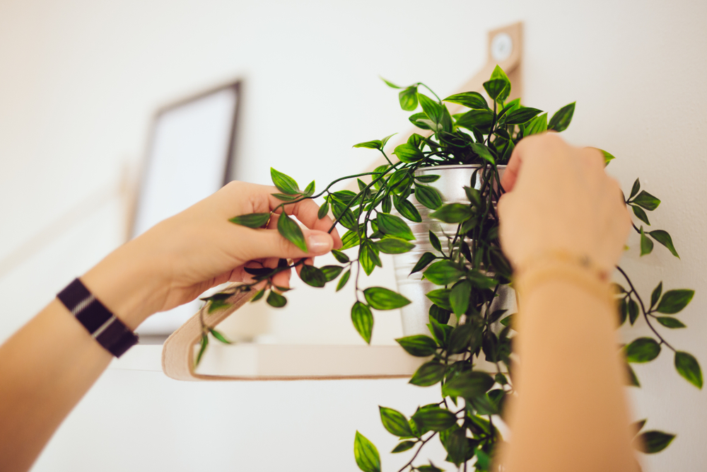 Dicas de Home Staging para o setor imobiliário